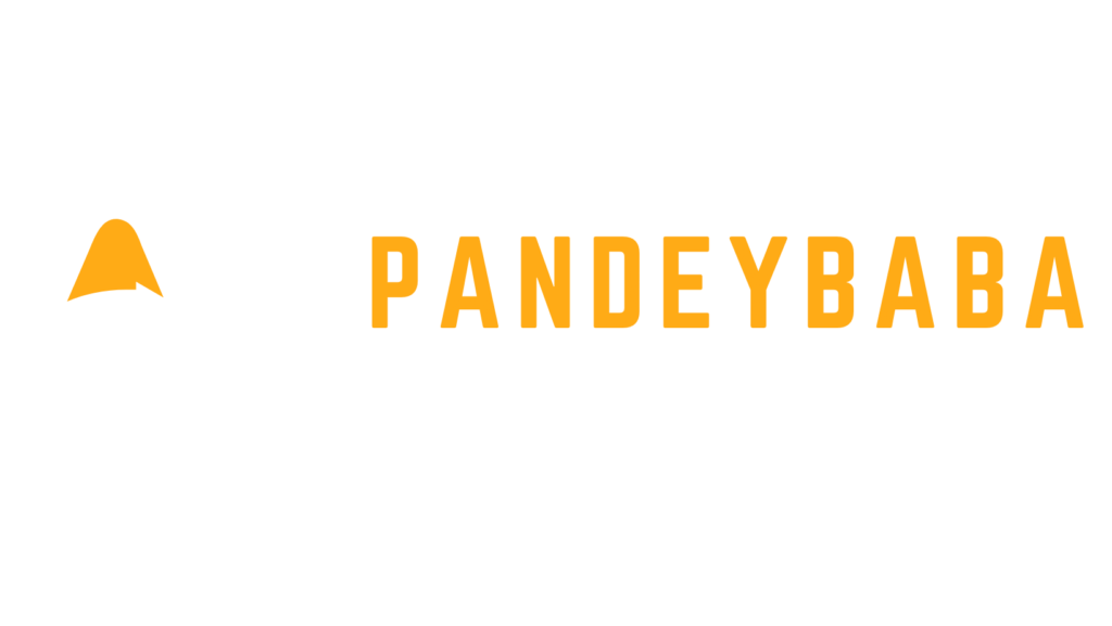 PandeyBaba Logo Tryambakeshwar Pandey - Digital Marketer(2 Years Of Experience) - pandeybaba.live